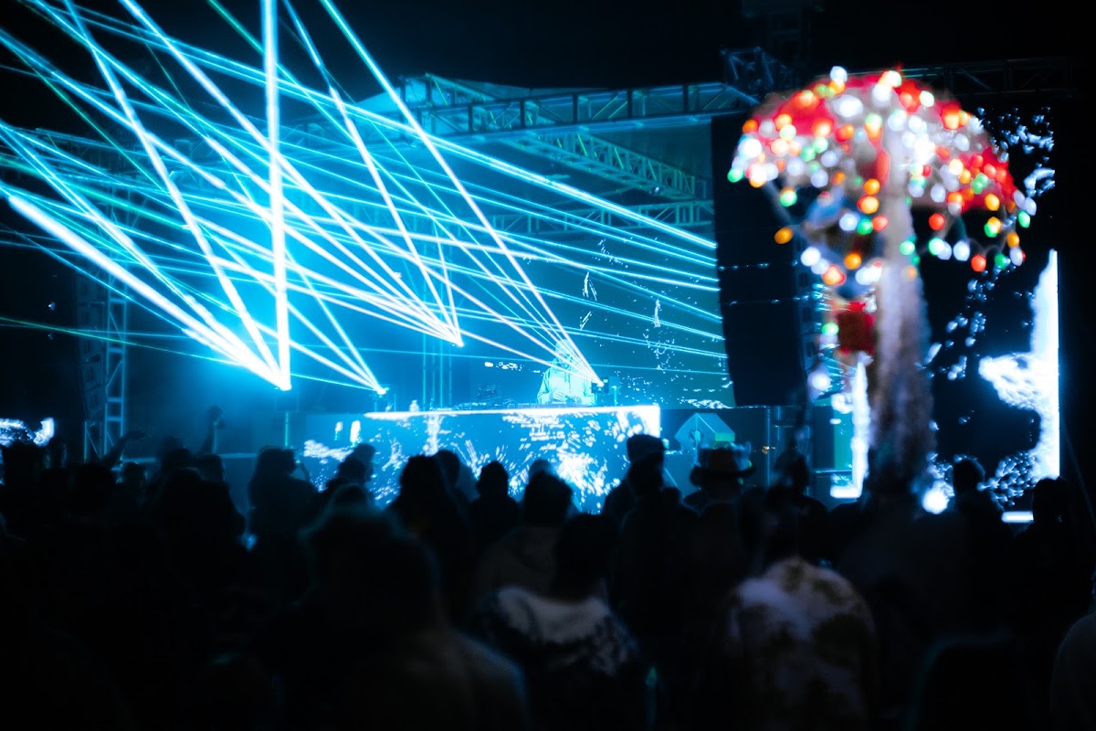 Frequency Forest festival