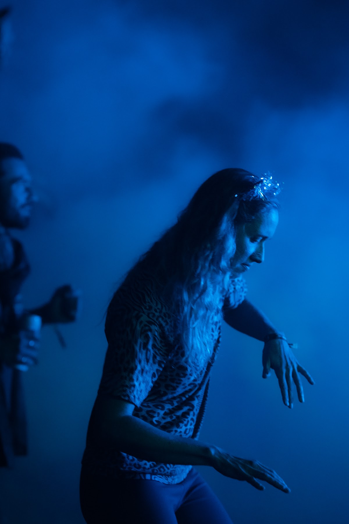 Frequency Forest festival
